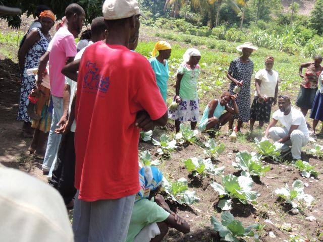 Teaching-agriculture-to-population-to-help-avoid-starvation